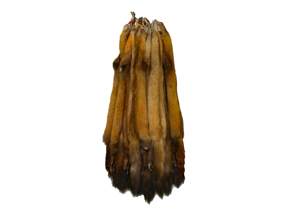 marten pelts